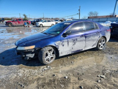 Acura Tl 2006 19UUA66256A026575