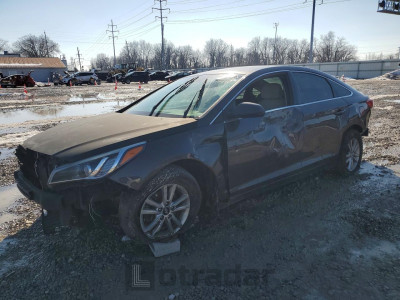 Hyundai Sonata 2016 5NPE24AF9GH407337