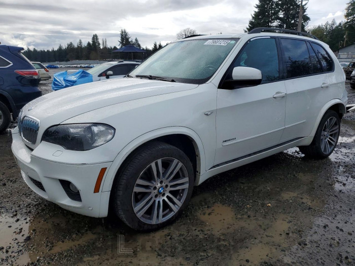 BMW X5 2011 VIN 5UXZV4C51BL413018