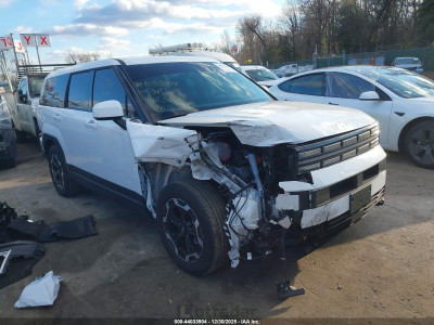 Hyundai Santa fe 2024 5NMP1DGL3RH043005
