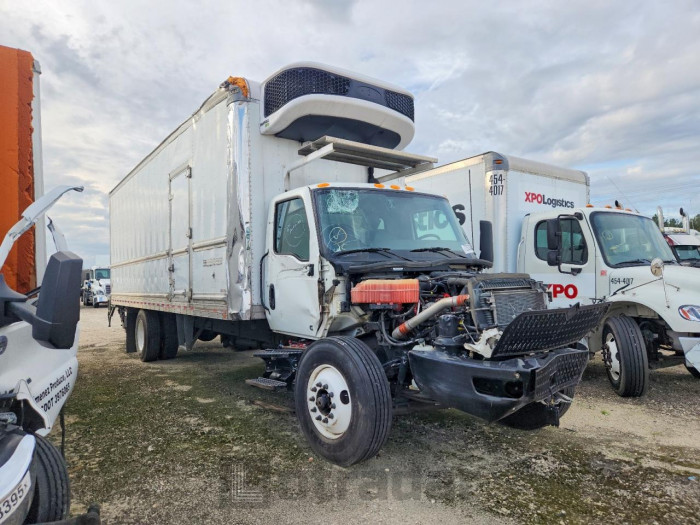 International   2023 VIN 3HAEUMML3PL553904