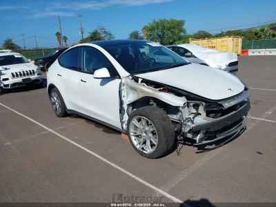 Tesla Model y 2021 5YJYGDEE5MF096757