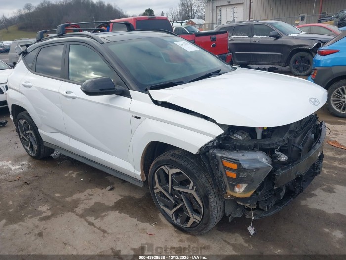 Hyundai Kona 2024 VIN KM8HACA33RU166816