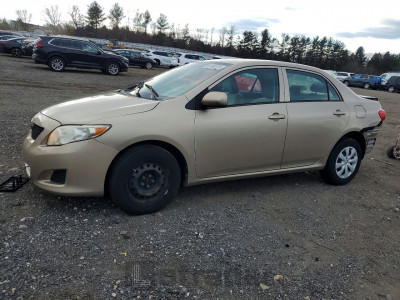 Toyota Corolla 2010 2T1BU4EE1AC282990