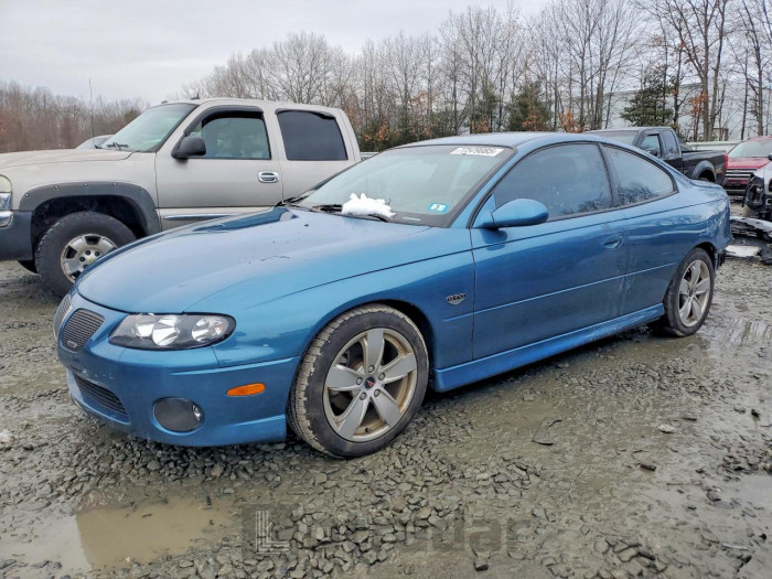 Pontiac Gto 2004 VIN 6G2VX12G64L287373
