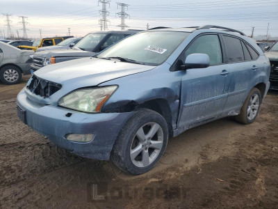 Lexus Rx 2004 2T2HA31U94C014800