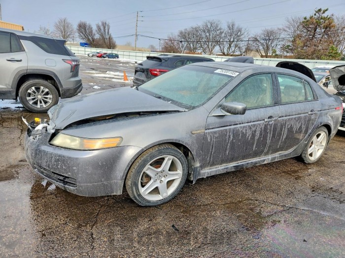 Acura Tl 2004 VIN 19UUA66204A066396
