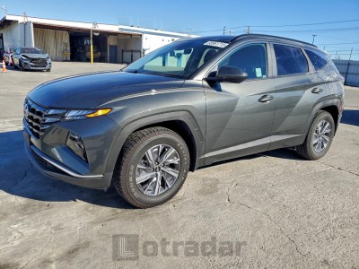 Hyundai Tucson 2023 KM8JBCA18PU086101