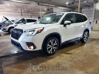 Subaru Forester 2023 JF2SKAPC7PH453988