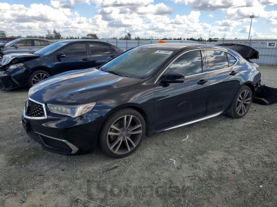 Acura Tlx 2019 19UUB2F44KA000955