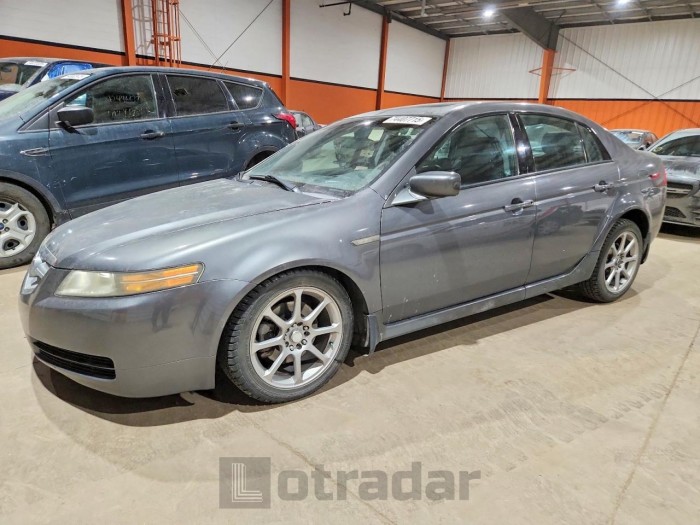 Acura Tl 2005 VIN 19UUA66235A801096