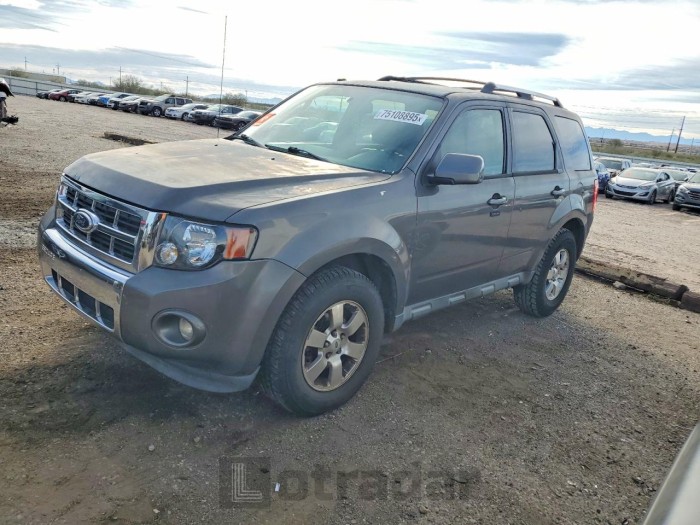 Ford Escape 2011 VIN 1FMCU0E73BKB04119