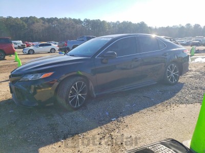 Toyota Camry 2019 4T1B11HK0KU835234