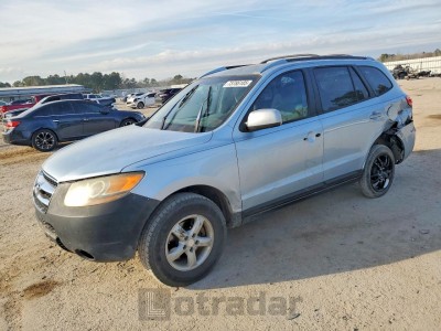 Hyundai Santa fe 2007 5NMSG13DX7H125493
