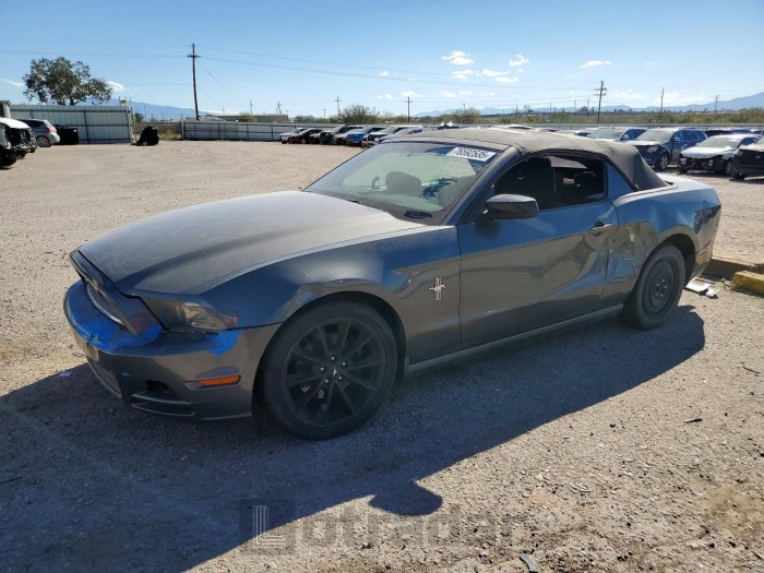 Ford Mustang 2013 VIN 1ZVBP8EM3D5272336