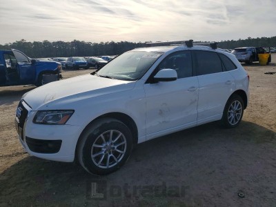 Audi Q5 2010 WA1LKAFP5AA058399