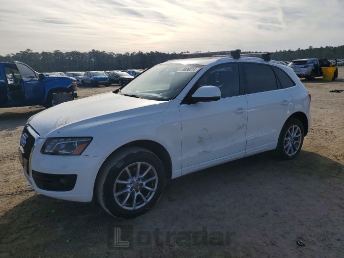 Audi Q5 2010 VIN WA1LKAFP5AA058399