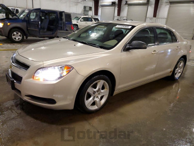 Chevrolet Malibu 2011 1G1ZA5EU2BF365169