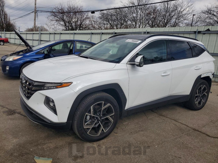 Hyundai Tucson 2024 VIN KM8JECD15RU244657
