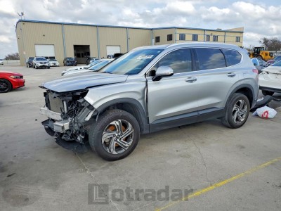 Hyundai Santa fe 2023 5NMS2DAJXPH603937