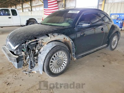 Volkswagen Beetle 2014 VIN 3VWJ17AT4EM654617