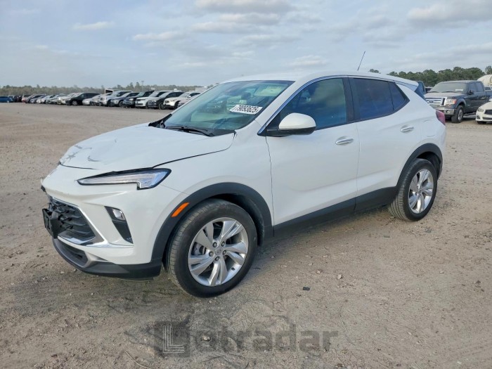 Buick Encore 2025 VIN KL4AMBSPXSB010129
