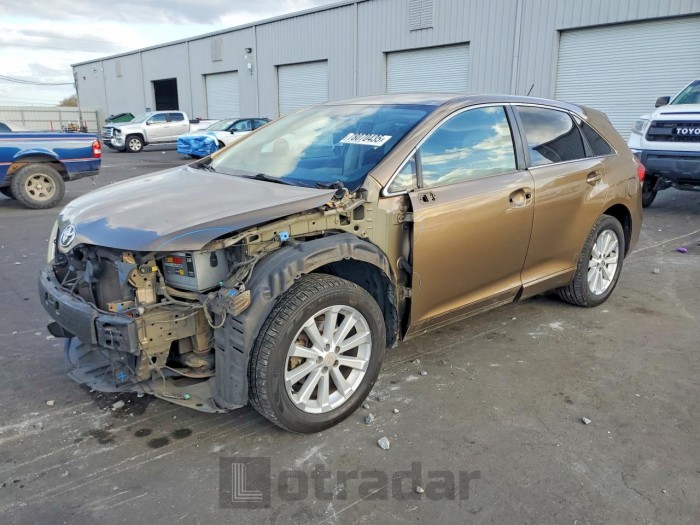 Toyota Venza 2009 VIN 4T3ZE11A89U007180