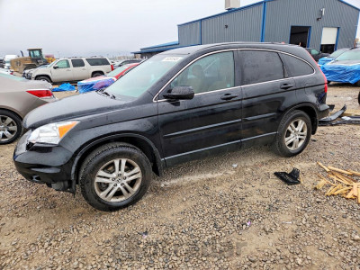 Honda Cr-v 2010 3CZRE3H53AG702721