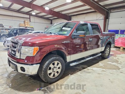 Ford F-150 2009 VIN 1FTPW14V39FB32821