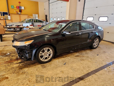 Acura Tl 2009 19UUA86589A023826