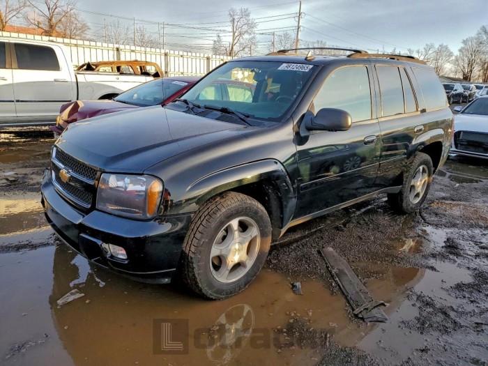 Chevrolet Trailblazer 2008 VIN 1GNDT13S582261515