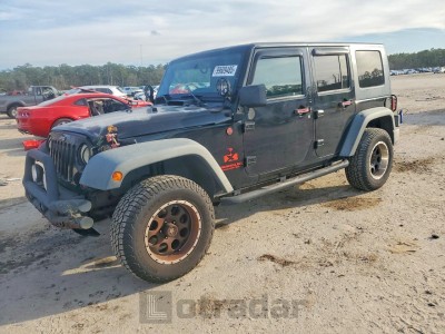 Jeep Wrangler / 2009 VIN 1J4GA391X9L754960