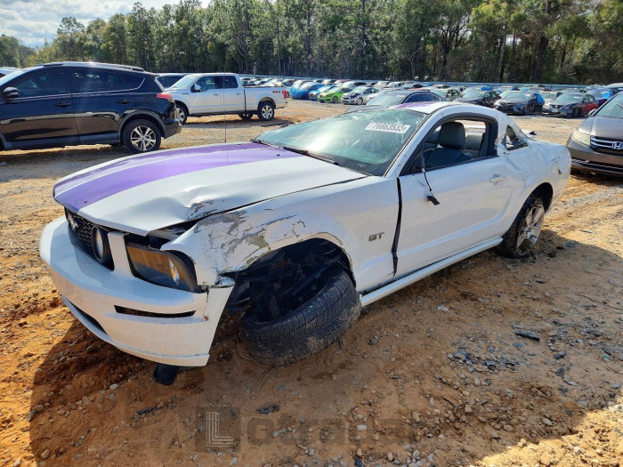Ford Mustang 2006 VIN 1ZVFT82H265127439