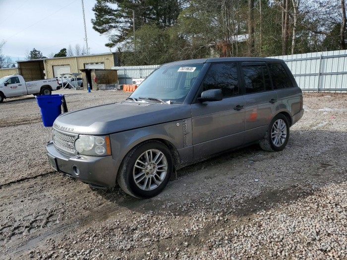 Land rover RANGE ROVER 2009 VIN SALME15469A306317