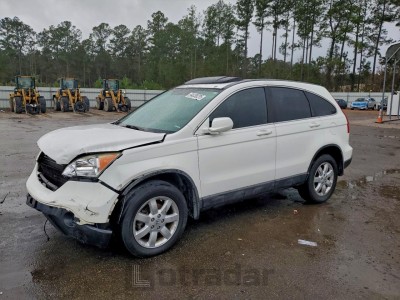 Honda Cr-v 2008 5J6RE38738L005144