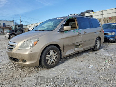 Honda Odyssey 2006 5FNRL38606B430324