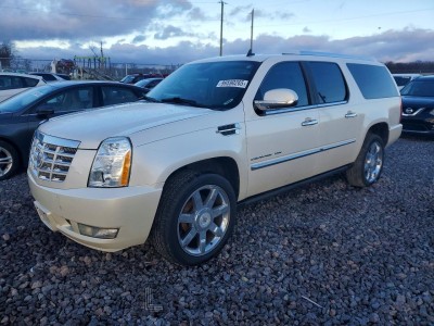 Cadillac Escalade 2010 1GYUCJEFXAR201150