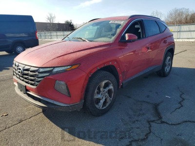 Hyundai Tucson 2023 5NMJBCAEXPH195710