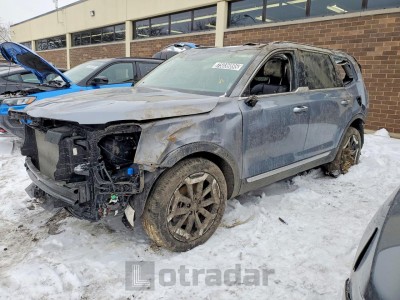 Kia Telluride 2025 VIN 5XYP64GC6SG698387