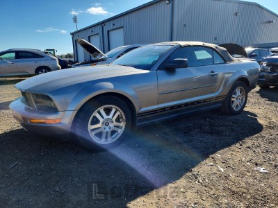 Ford Mustang 2008 1ZVHT84NX85190514