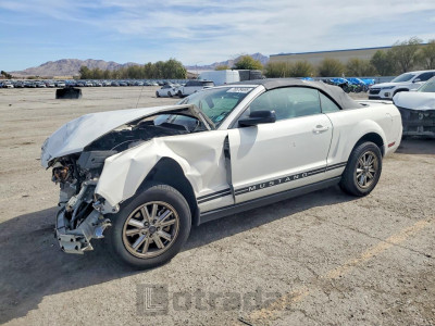 Ford Mustang 2007 1ZVFT84N275363433
