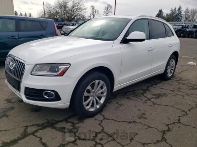 Audi Q5 2015 VIN WA1LFAFPXFA113098