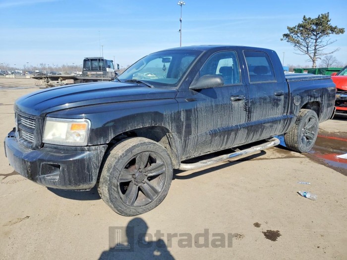 Dodge Dakota 2008 VIN 1D7HW38N68S562302
