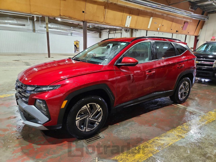 Hyundai Tucson 2025 VIN KM8JBDD17SU263540