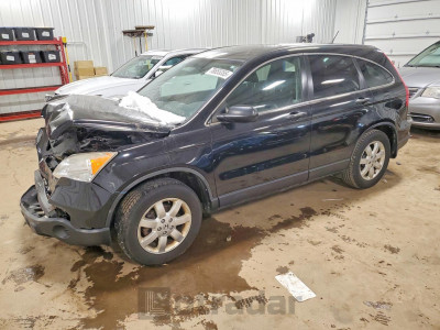 Honda Cr-v 2008 JHLRE48518C049222