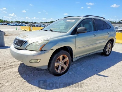 Lexus Rx 2004 2T2GA31U34C005361