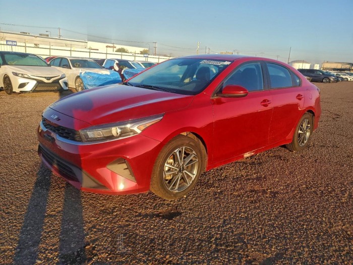 Kia  2022 VIN 3KPF24AD6NE417098