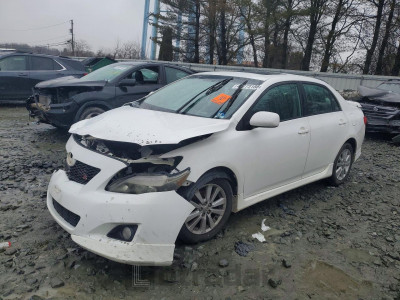 Toyota Corolla 2010 2T1BU4EE2AC469929