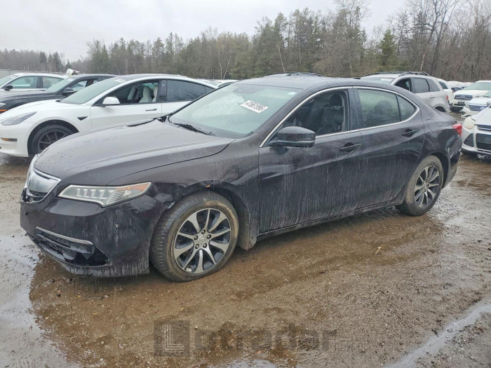Acura Tlx 2017 VIN 19UUB1F51HA800303