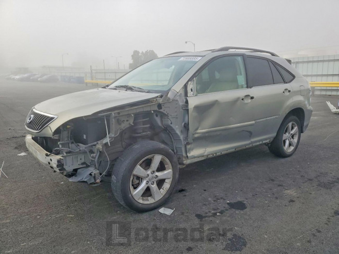 Lexus Rx 2004 VIN JTJHA31U740072061